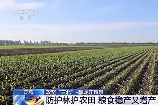 殳海：绿军再次为不知从何而来的公子哥作风买单 骑士主帅够果决